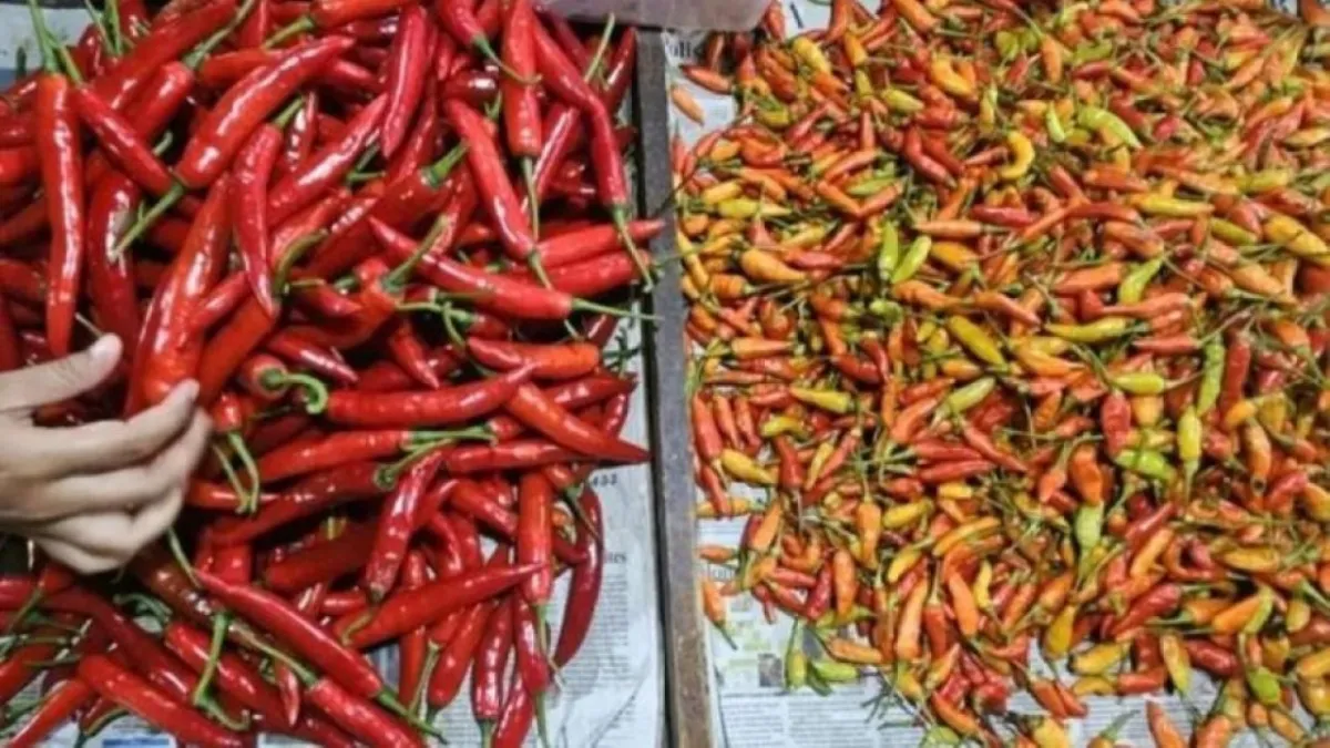 Inflasi Februari 2026 Naik 0,68 Persen Dipicu Kenaikan Harga Daging Ayam dan Cabai
