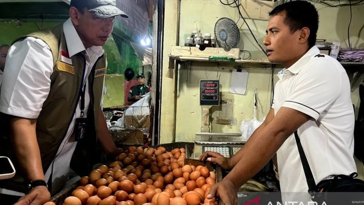Update Harga Pangan Nasional: Telur Ayam Rp30.400/kg, Bawang Merah Rp54.350/kg