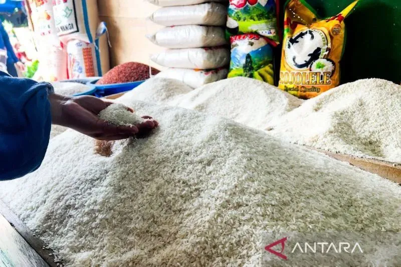 DPR RI Ingatkan Pemerintah Jaga Stabilitas Harga Gabah Usai Impor 1.000 Ton Beras AS