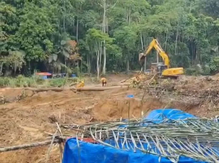 Dugaan Pungutan Alat Berat di Tambang Asak Jarum Menjadi Perhatian Publik