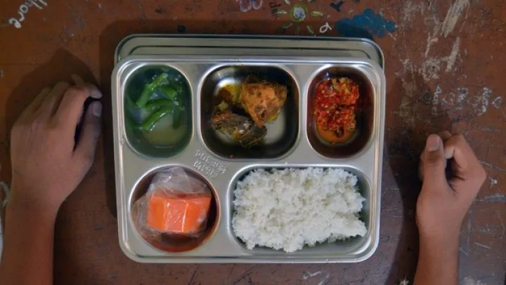 PDIP Larang Kader Manfaatkan Program Makan Bergizi Gratis