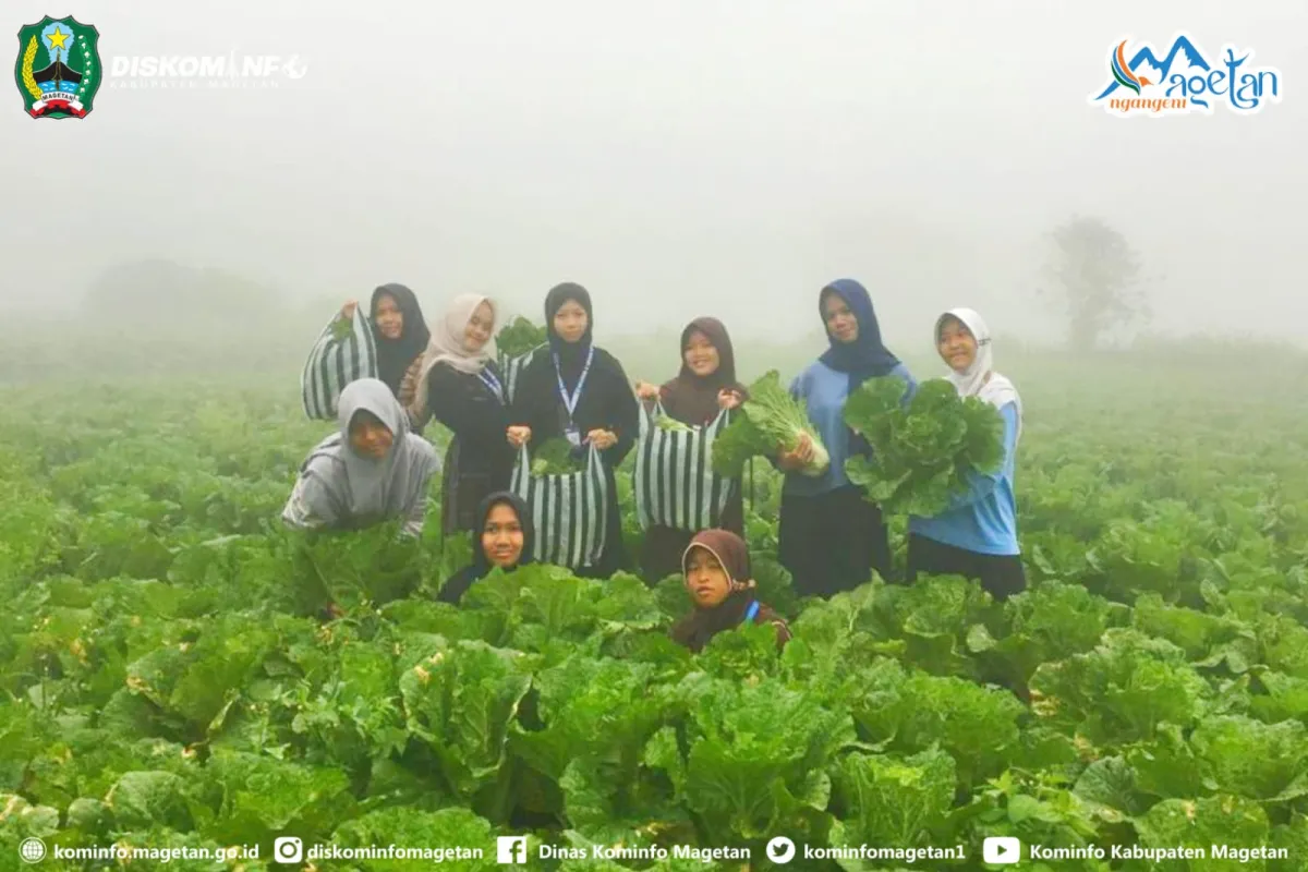 Kampung Susu Magetan Tawarkan Pengalaman Peternakan bagi Wisatawan