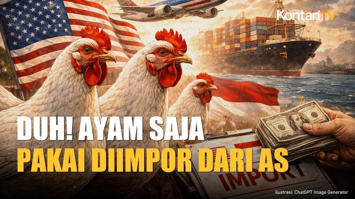 Impor Ayam AS untuk Bibit Unggul Dinyatakan Aman bagi Industri Perunggasan