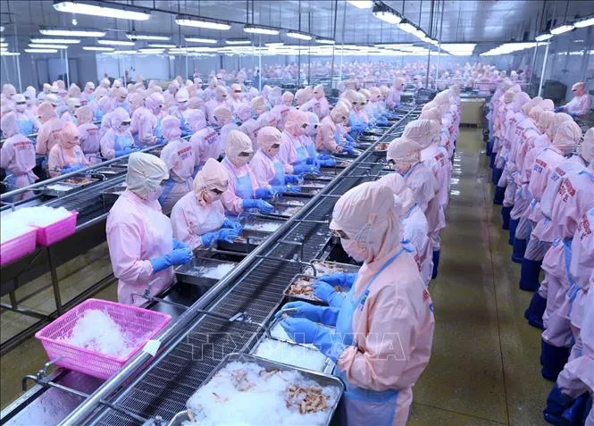 VCCI Usulkan Reformasi Hukum untuk Tingkatkan Lingkungan Bisnis di Vietnam
