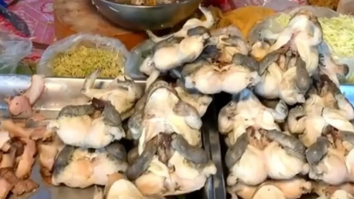 Salad Kodok: Sensasi Kuliner Unik Thailand di Pasar Malam