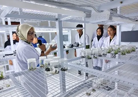 Mahasiswa UMPR Belajar Teknologi Kultur Jaringan di BPPBTPH Kalteng