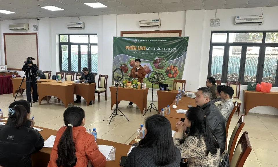 Perempuan Berdaya Melalui Transformasi Digital