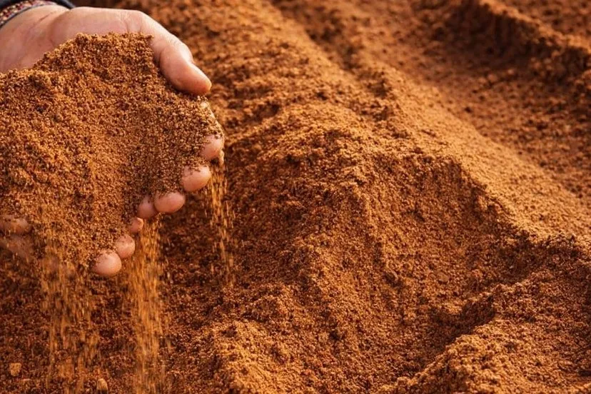 Palm Kernel Expeller: Komoditas Unggulan untuk Pakan Ternak Indonesia