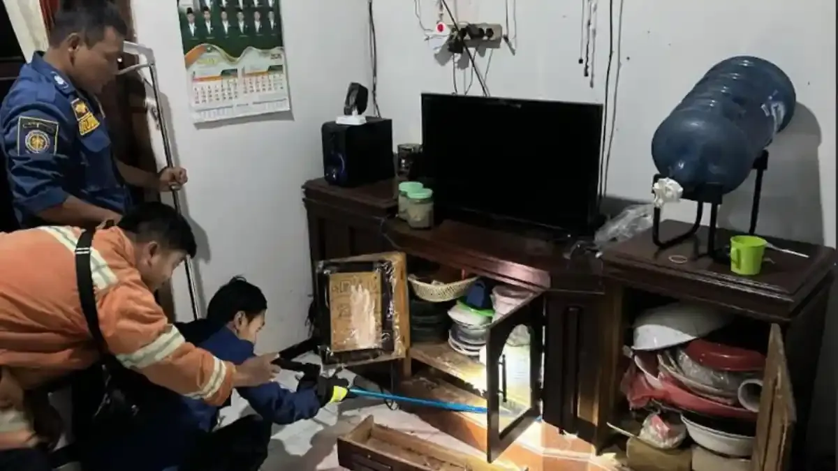 Warga Gresik Panik Saat Ular Kobra Masuk Rumah