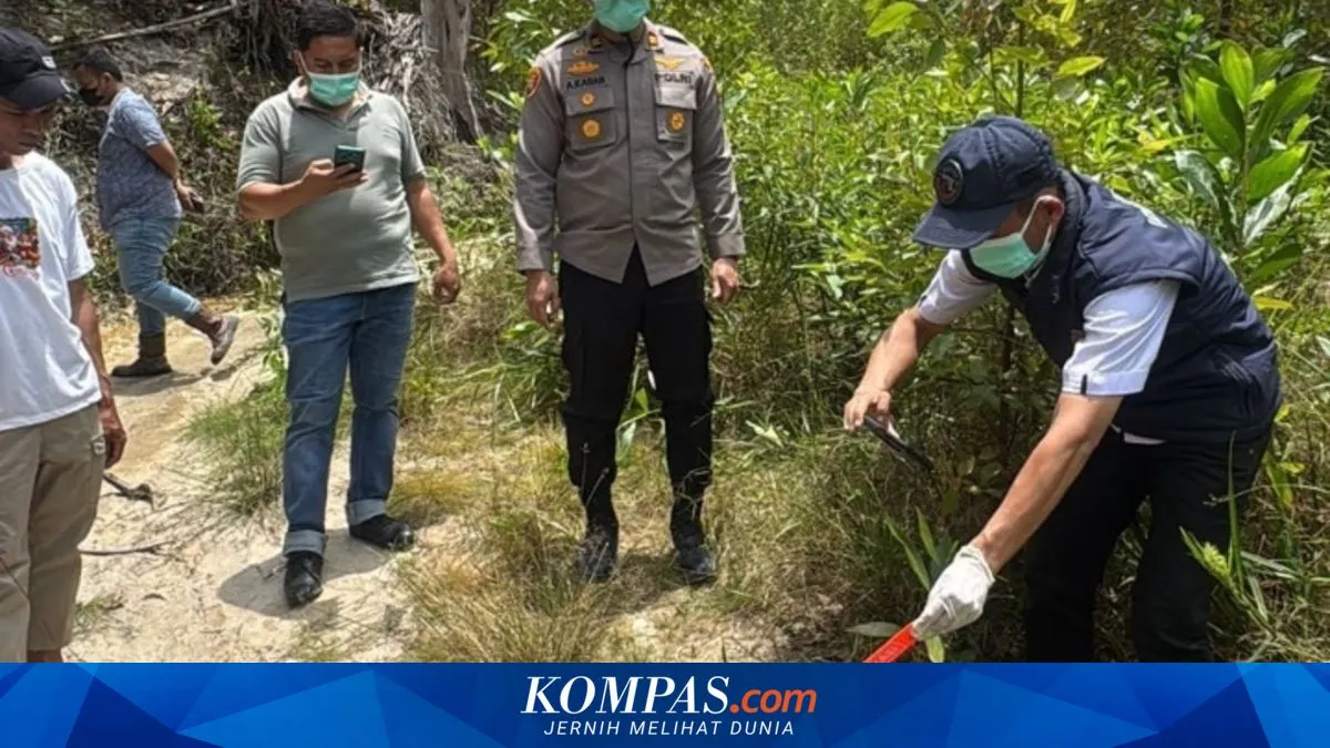 Penemuan Kerangka Manusia di Hutan Kuansing, Polisi Lakukan Penyelidikan