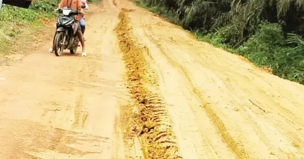 Perusahaan Sawit Dukung Perbaikan Jalan di Tualan Hulu Melalui CSR