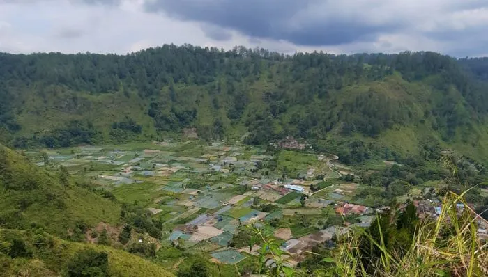 DPMPN Simalungun Targetkan 42 Desa Mandiri pada 2026