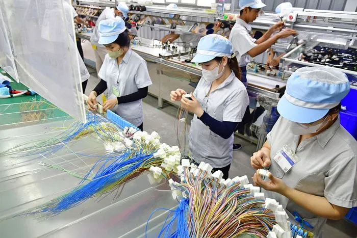 Dorong Pertumbuhan Ekonomi, Vinh Long Siap Hadapi Tantangan 2025
