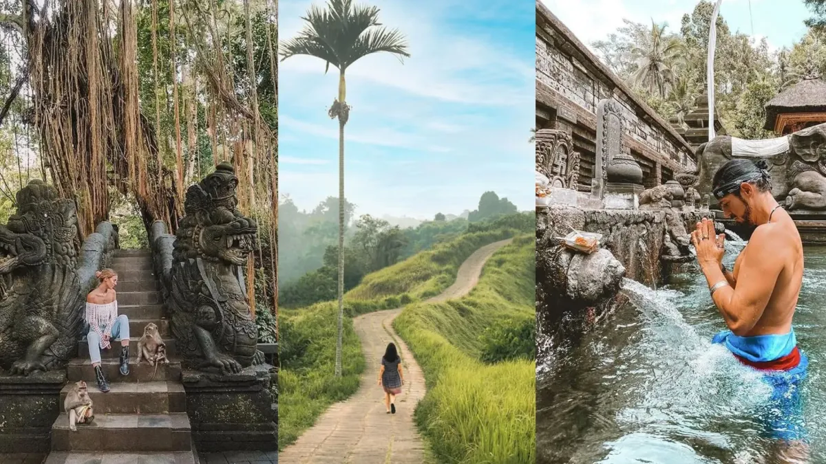 Enam Destinasi Wisata Wajib di Ubud Bali