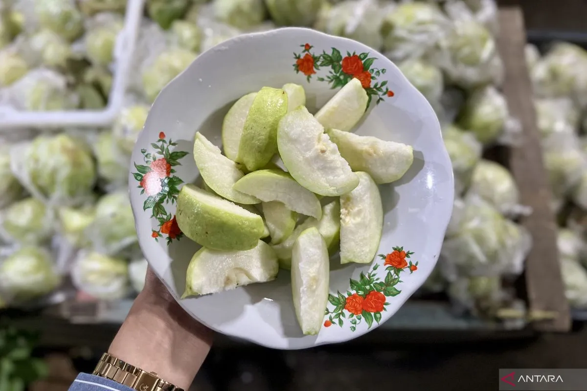 Jambu Kristal Jadi Buah Favorit Pemudik di Jalur Pansela