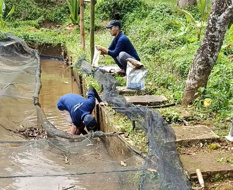 Warga Binaan Lapas Pemuda Plantungan Perbaiki Kolam Budidaya Ikan Bersama Komunitas