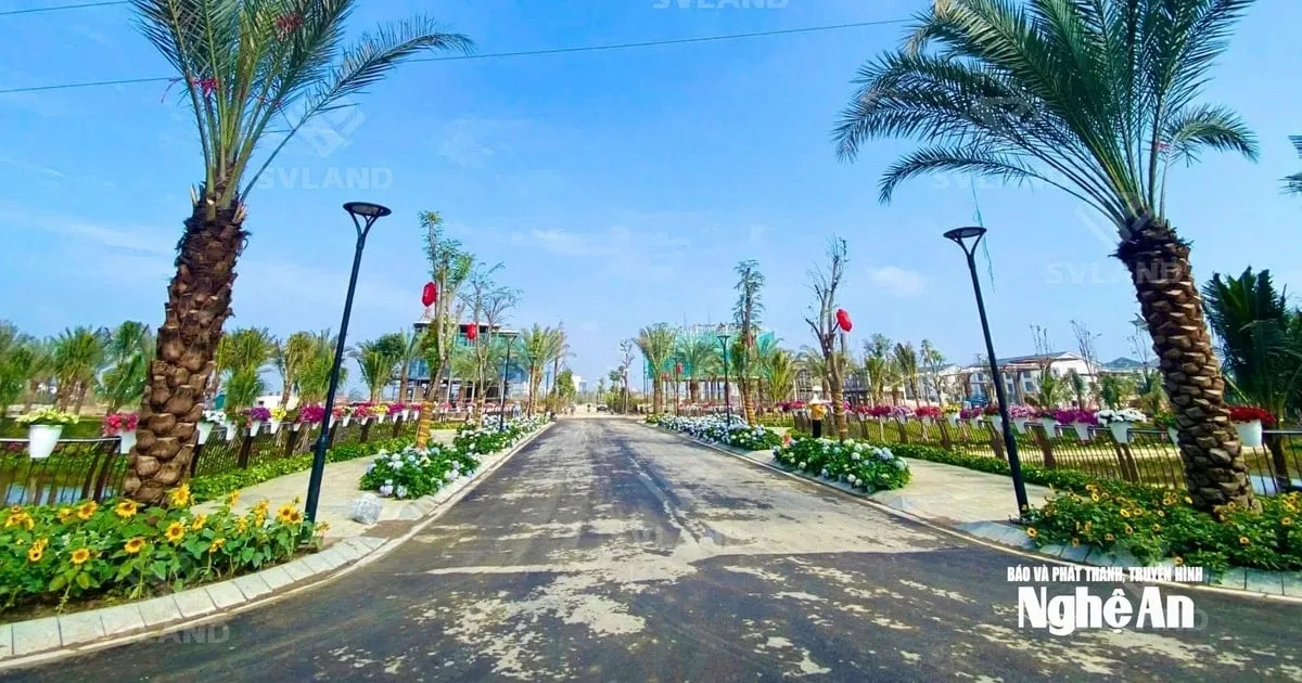 Pasar Properti Nghe An Alami Restrukturisasi Menuju Permintaan Nyata