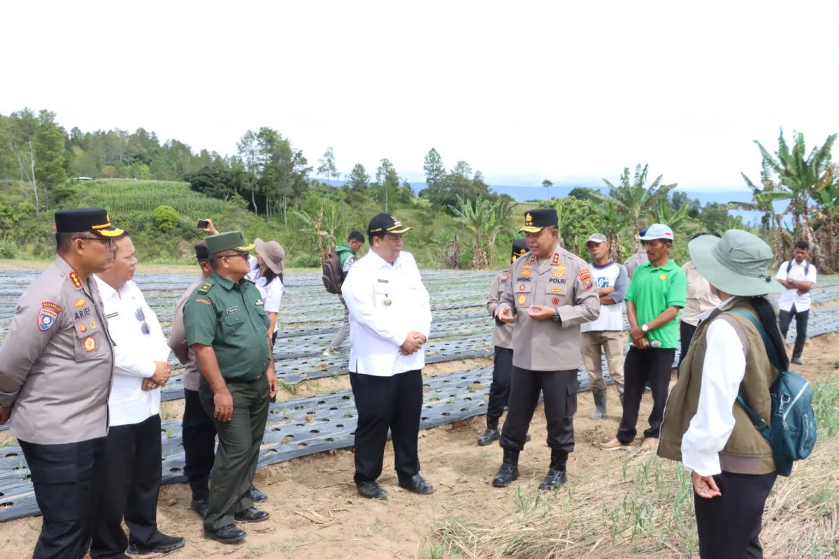 Kapolda Sumut Tinjau Sentra Bawang Putih di Samosir