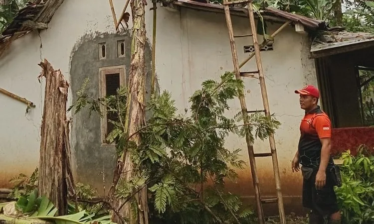 Angin Kencang Sebabkan Pohon Tumbang Timpa Empat Rumah di Banjarnegara