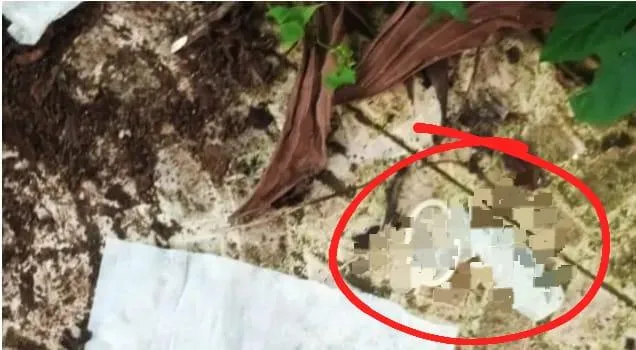 Kota Bersih Terancam, Banjar Water Park Dipenuhi Sampah Moral