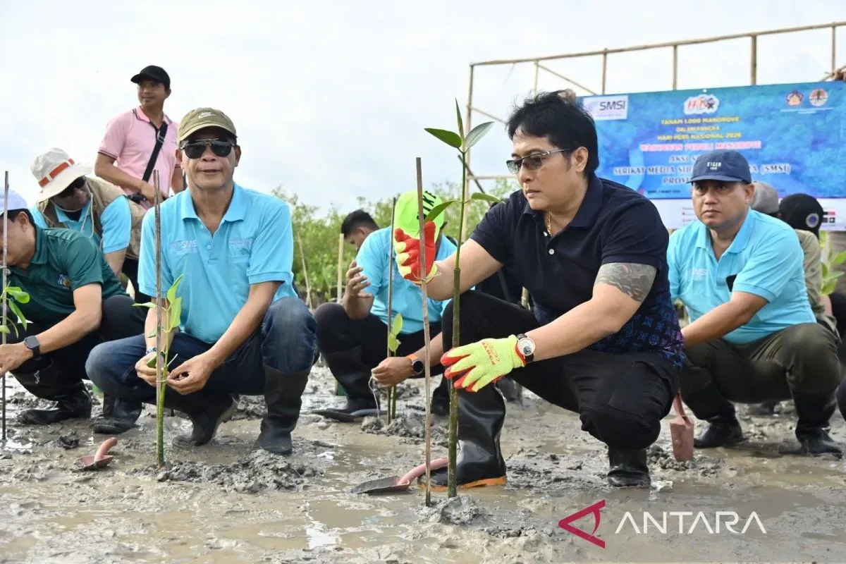 Wagub Bali Dorong Konservasi Mangrove untuk Ekonomi Berkelanjutan