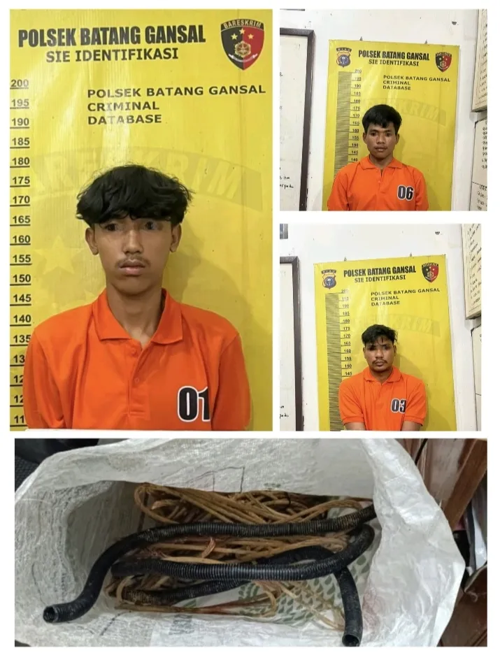 Polsek Batang Gansal Amankan Tiga Pencuri Kabel Telekomunikasi