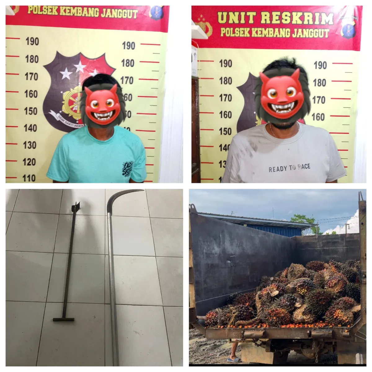 Dua Pria Ditangkap Usai Curi 1,1 Ton TBS Sawit di Kembang Janggut