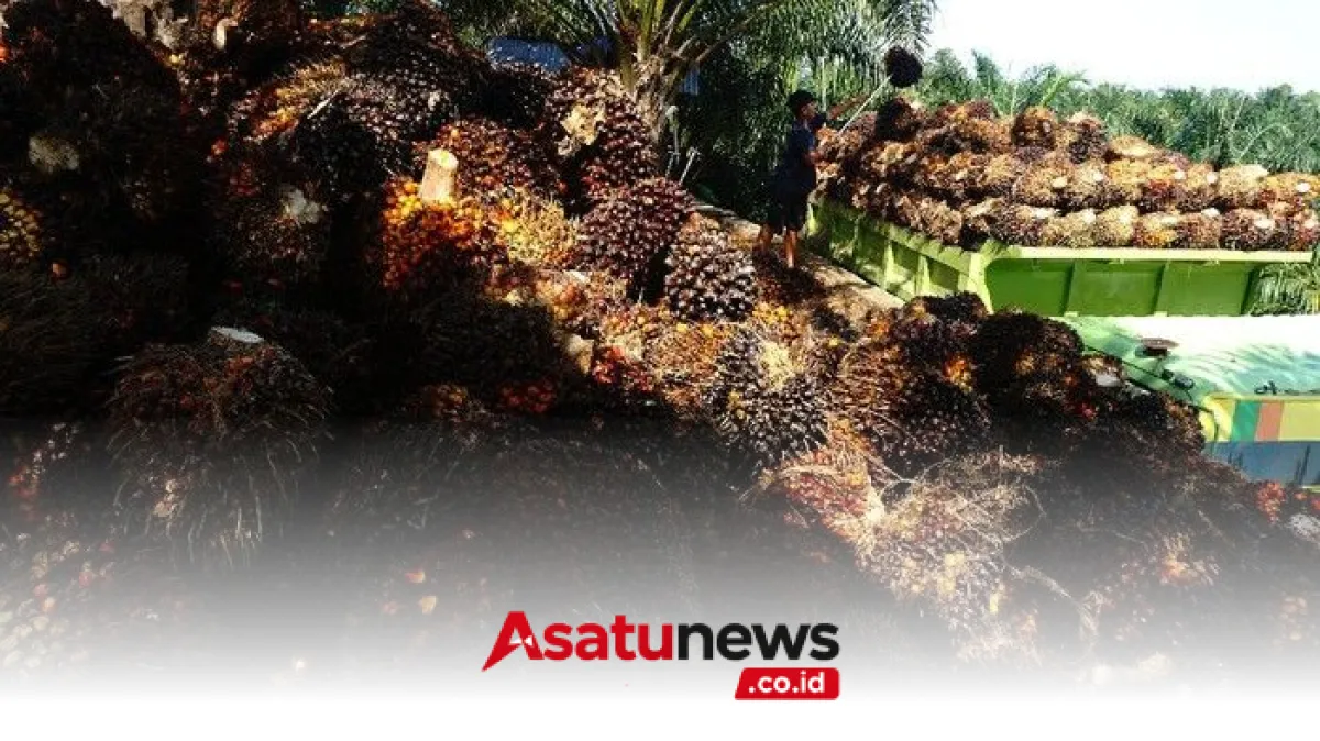 Konflik AS-Israel Ganggu Ekspor Sawit Indonesia ke Timur Tengah