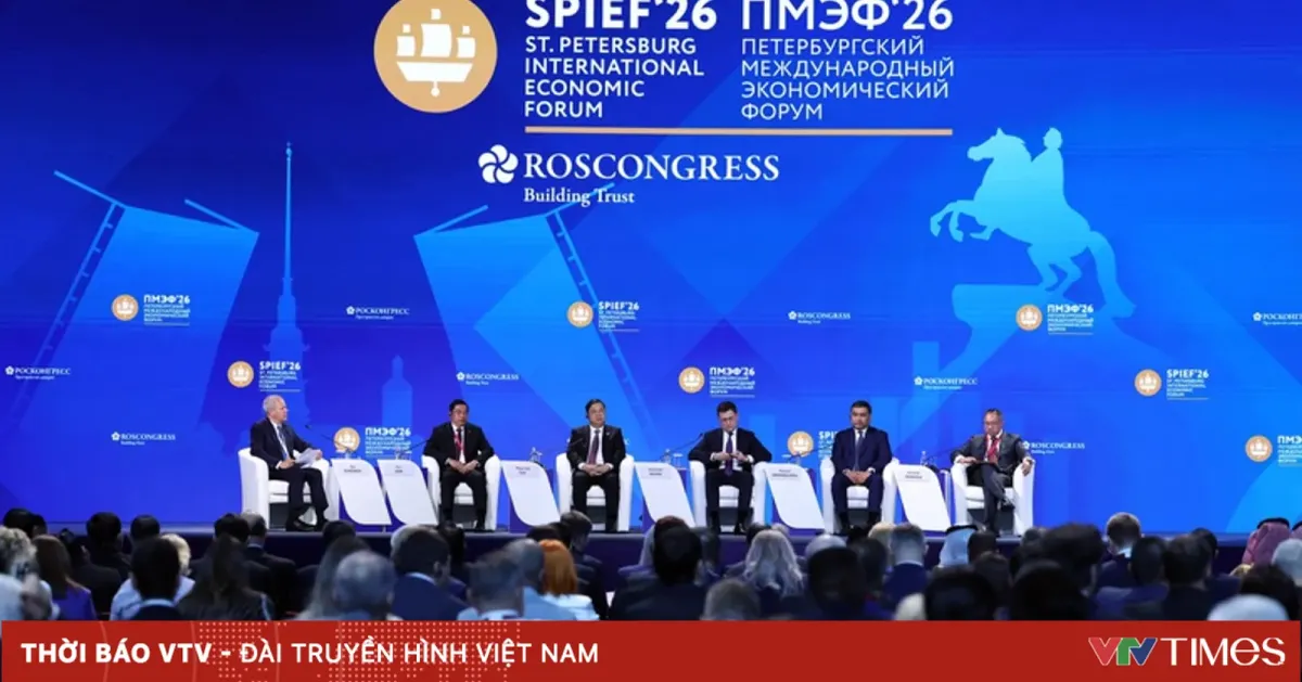 Wakil Perdana Menteri Vietnam Usulkan Tiga Arah Kerja Sama di Forum Ekonomi Internasional