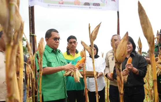 Gubernur NTT Panen Jagung untuk Dukung Ketahanan Pangan