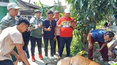 Forum Jurnalis Berbagi Gelar Penyembelihan Hewan Kurban di Palembang