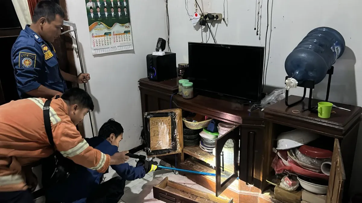 Warga Bungah Gresik Kaget Ular Kobra Masuk Rumah Saat Menonton TV