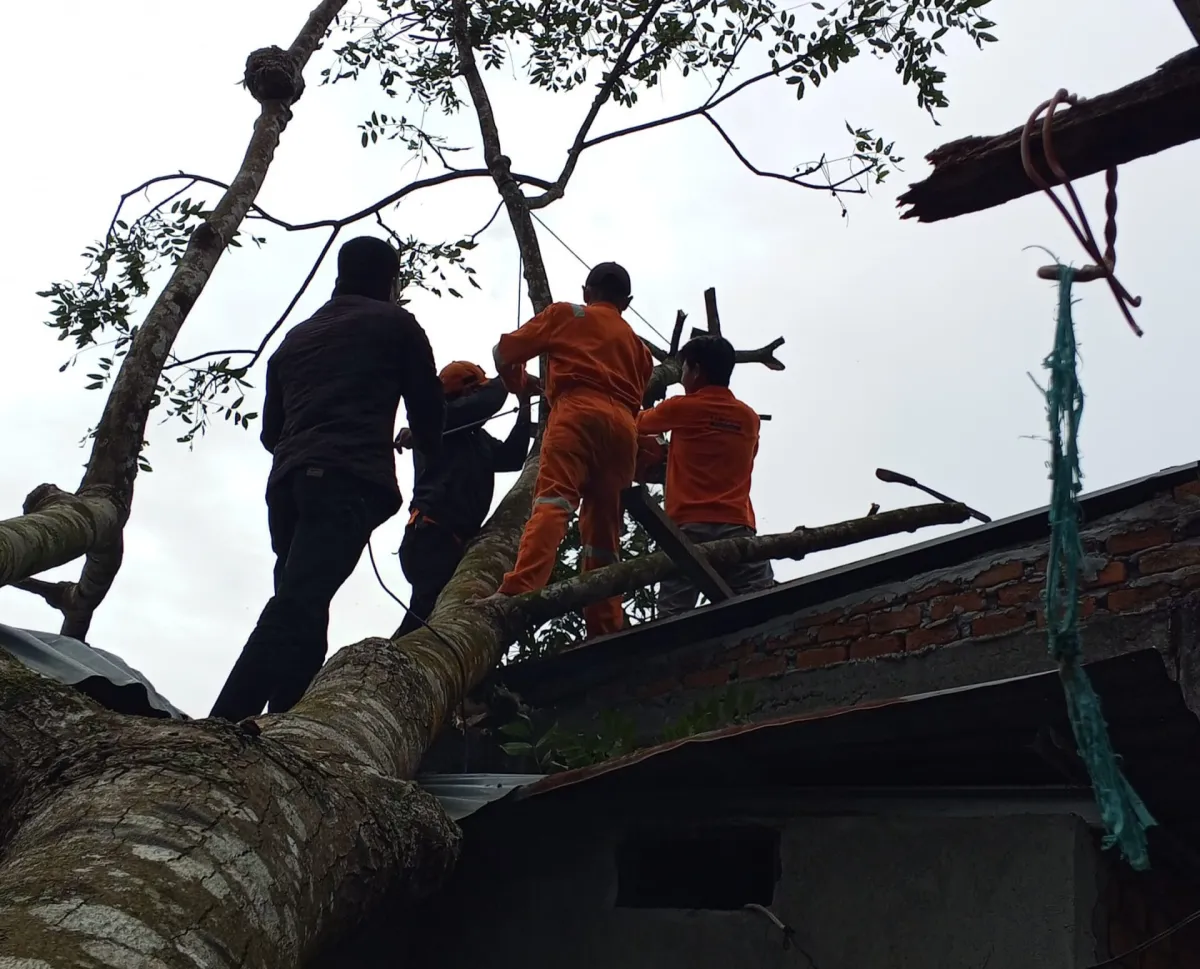 BPBD Rejang Lebong Siagakan Tim dan Alat untuk Antisipasi Cuaca Ekstrem