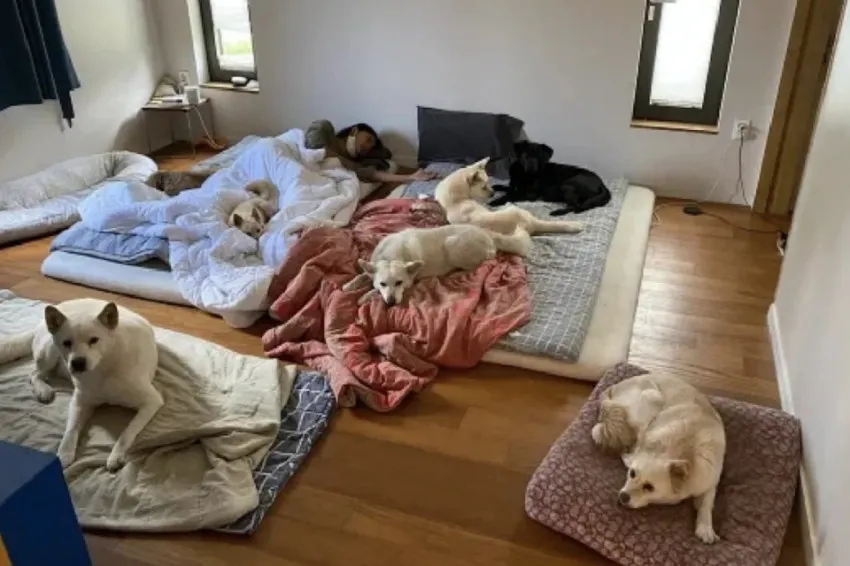 Lee Hyori Berbagi Momen Santai dengan Anjing, Rumah Berantakan Jadi Perbincangan