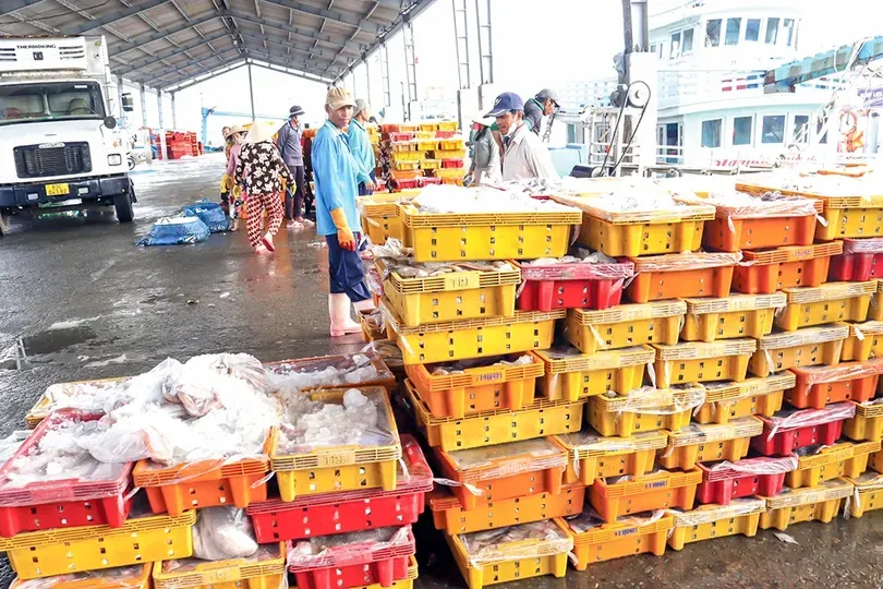 Pentingnya Kesadaran Nelayan Terhadap Peraturan Alat Pelacak Kapal