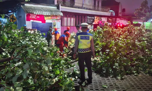 Polsek Kotagede Bersama Relawan Evakuasi Pohon Tumbang di Prenggan