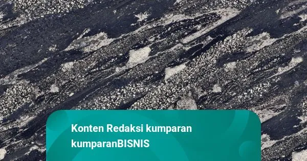 Fluktuasi Harga Komoditas: Nikel Turun, Timah Naik, dan Minyak Mentah Merosot
