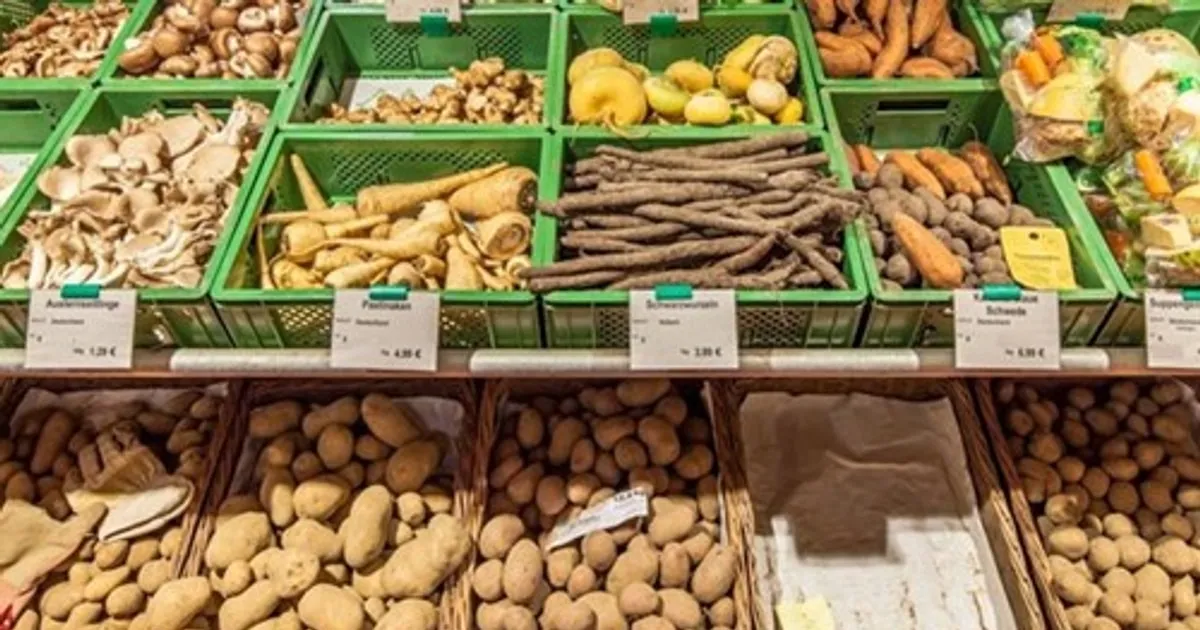 Industri Kentang Uni Eropa Tertekan oleh Kelebihan Pasokan dan Penurunan Harga