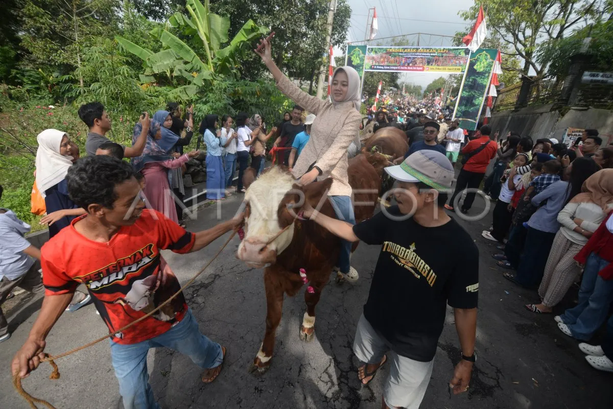 Tradisi Lebaran Sapi: Mempererat Hubungan Sosial dan Ekonomi Warga