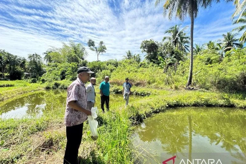 Prabowo Dorong ASEAN Tingkatkan Keamanan Pangan Regional
