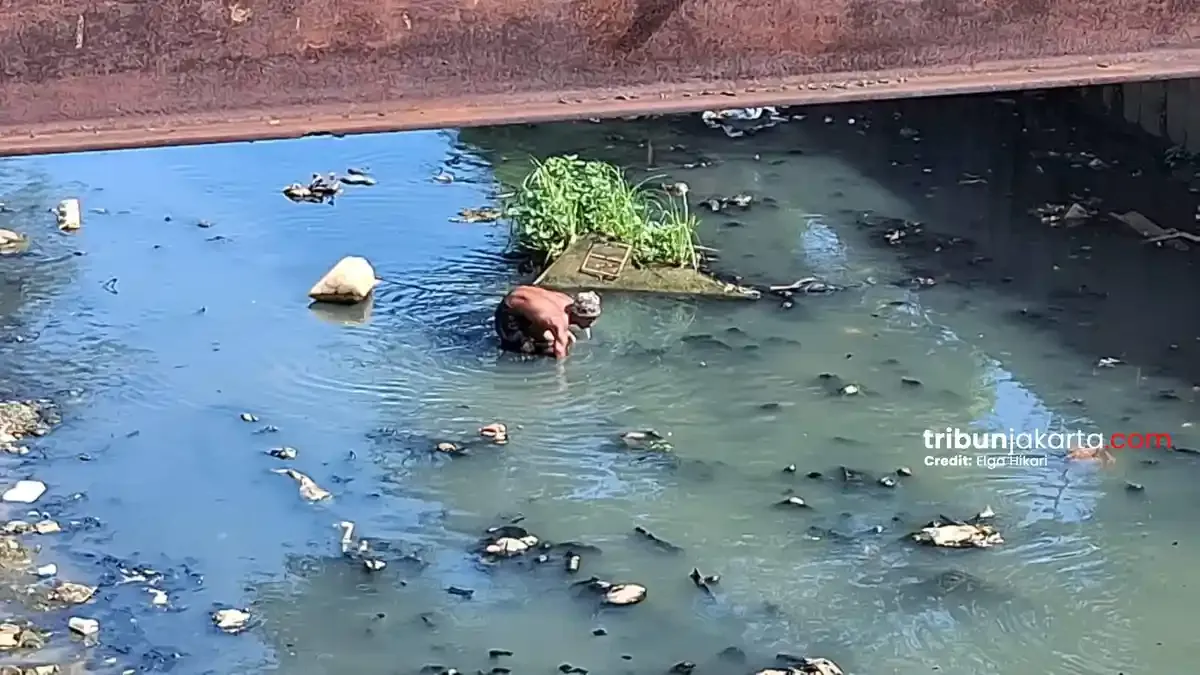 Kali Ciliwung Menteng Terendam Sampah, Warga Manfaatkan Lumpur untuk Cari Cacing