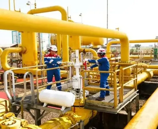 PGN Targetkan Peningkatan Infrastruktur Gas dan LNG Dukung Industri 2026