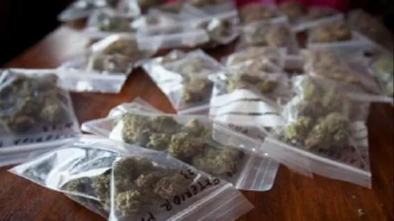 Berkas Kasus Ganja Asal Medan Telah Diserahkan ke Jaksa