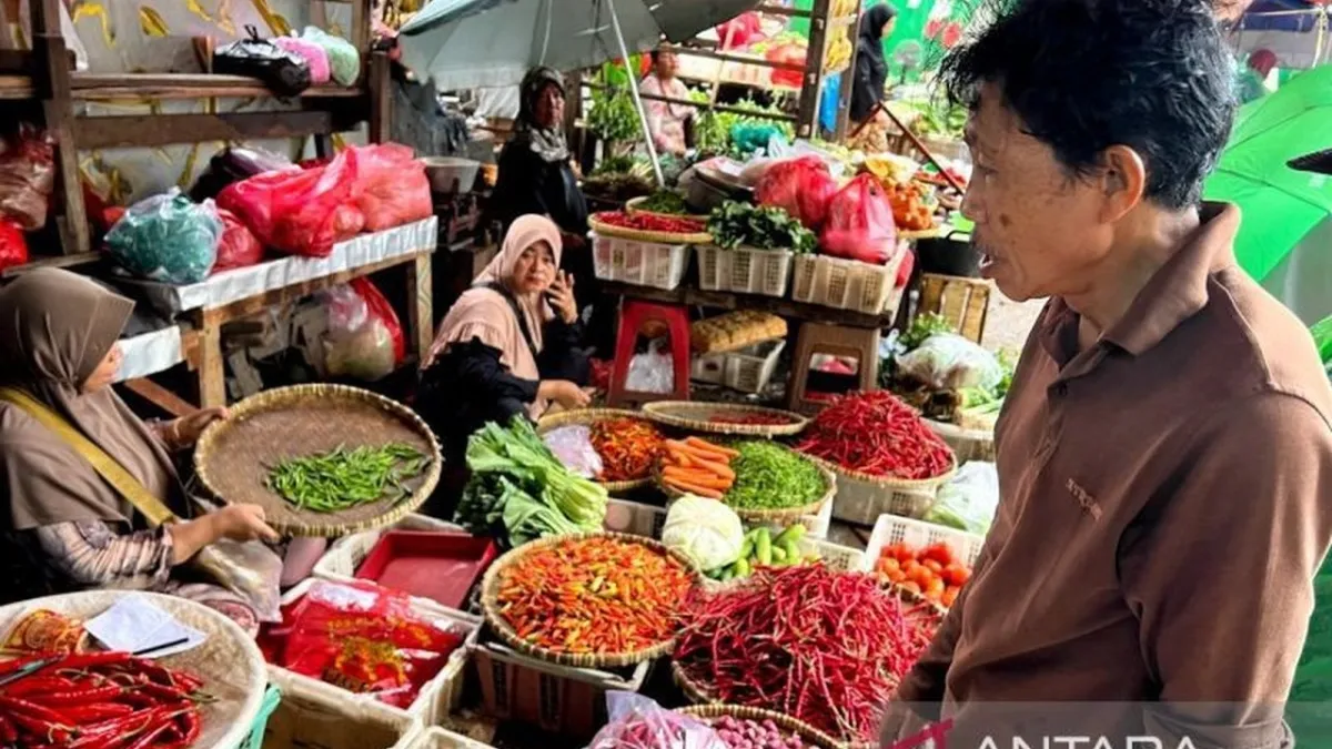 Kenaikan Harga Bawang Merah dan Cabai Rawit Mencolok di Pasar Nasional