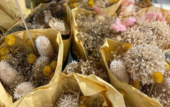 Dried Flowers: Solusi Dekorasi Bunga Tahan Lama