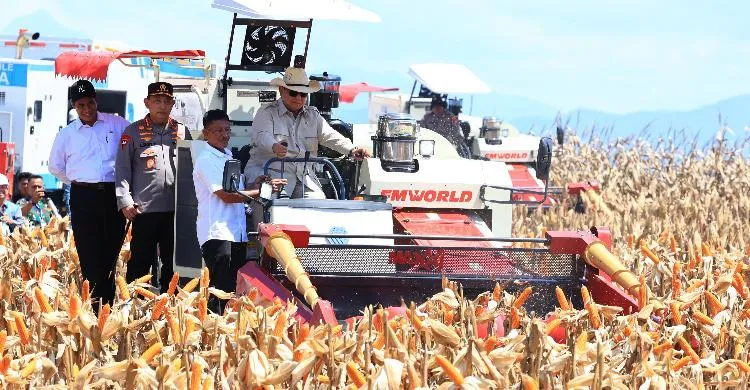 Prabowo Dorong Ketahanan Pangan Nasional Melalui Panen Jagung di Tuban