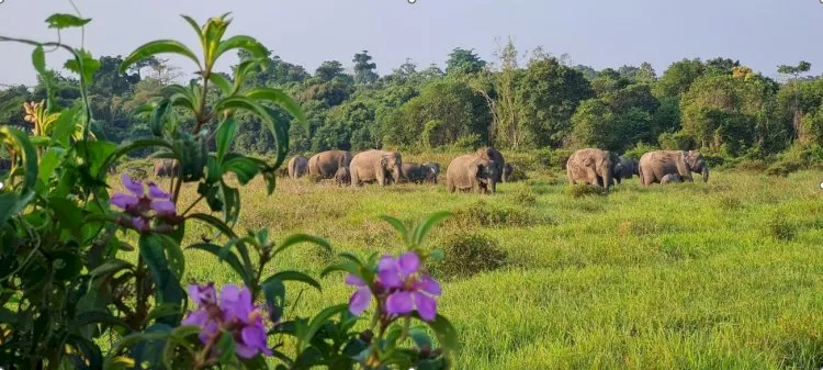 TNWK Belum Terima Informasi Wisata Eksklusif Tarif Tinggi