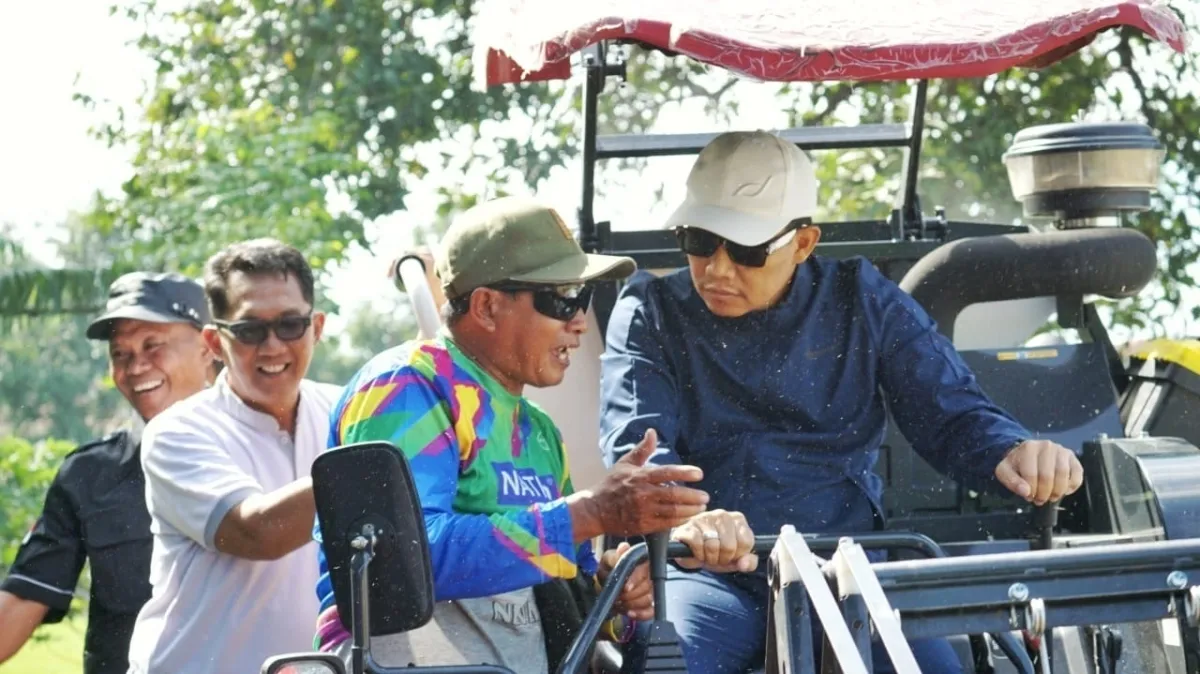 Panen Raya Padi Pasuruan Tingkatkan Produktivitas Petani dengan Combine Harvester