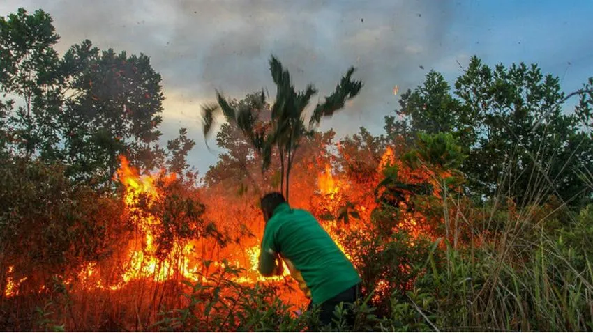 BMKG Deteksi 19 Titik Panas di Riau, Siak, Kampar, dan Dumai