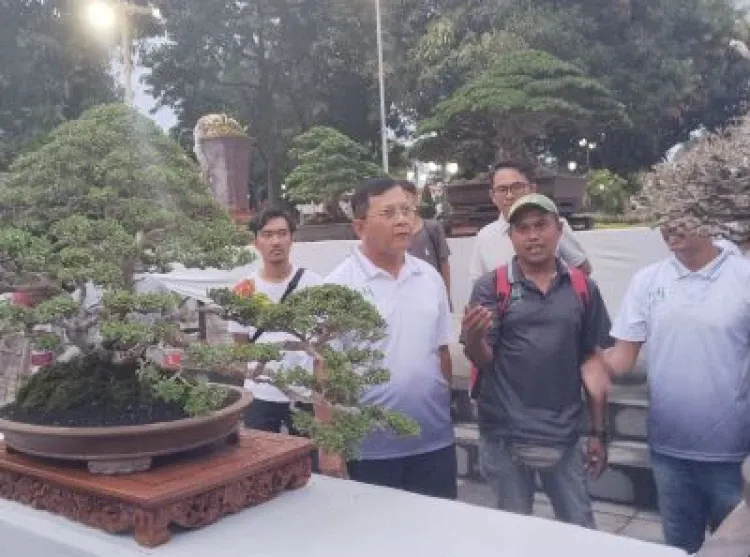 Kalpataru Bonsai 2026: Perkuat Ekonomi dan Citra Buleleng